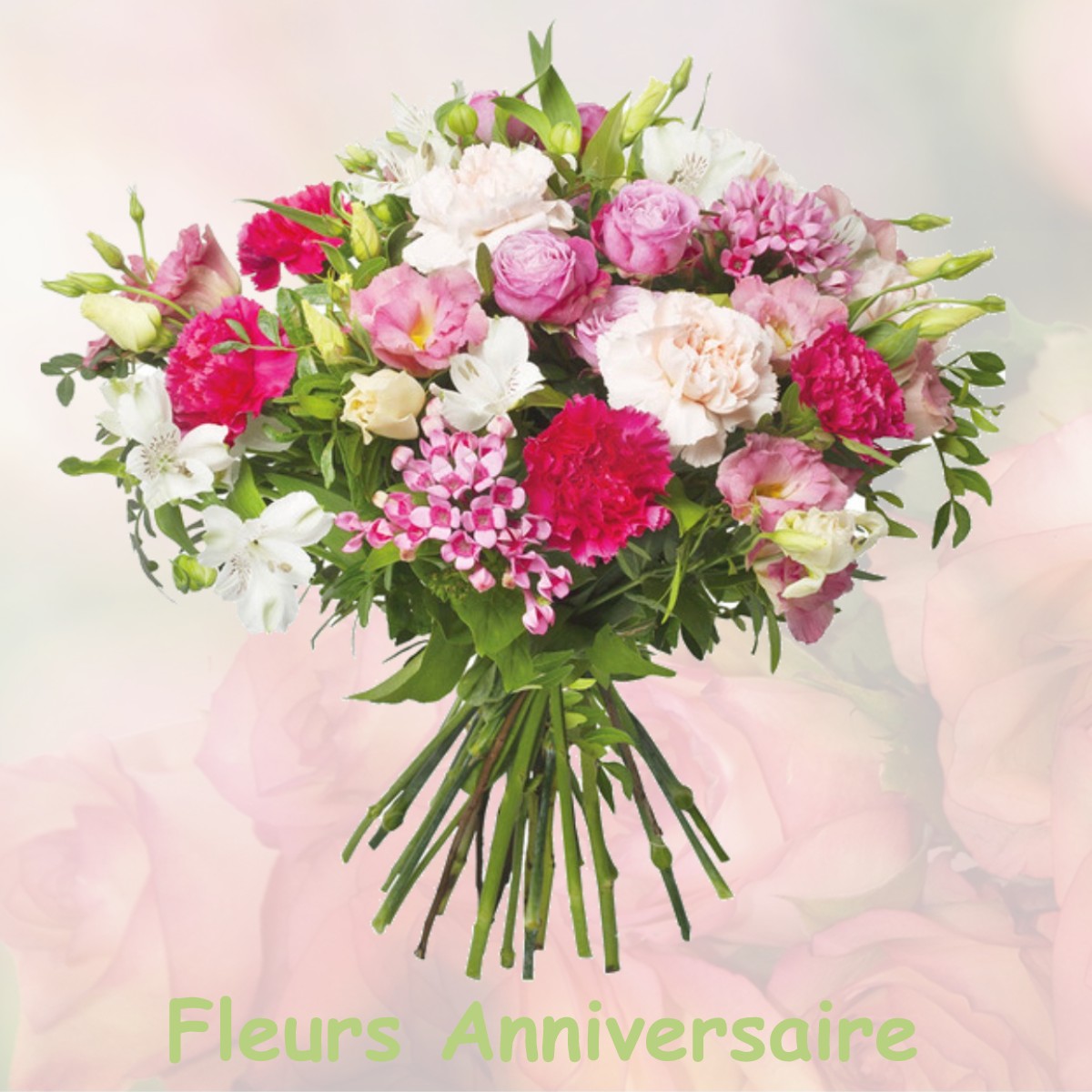 fleurs anniversaire BELMONT-LUTHEZIEU